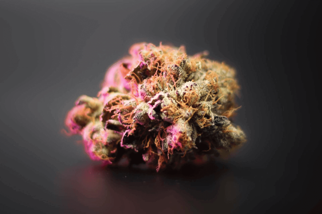 13 Popular Ways to Consume Cannabis - Meo Marley's Herbal Blends